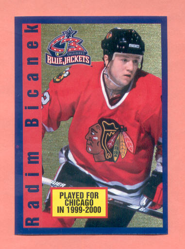 2000 PANINI #139-Radim Bicanek - NHL Hockey Stickers