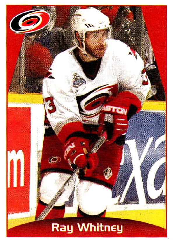 2006 PANINI #45-Ray Whitney