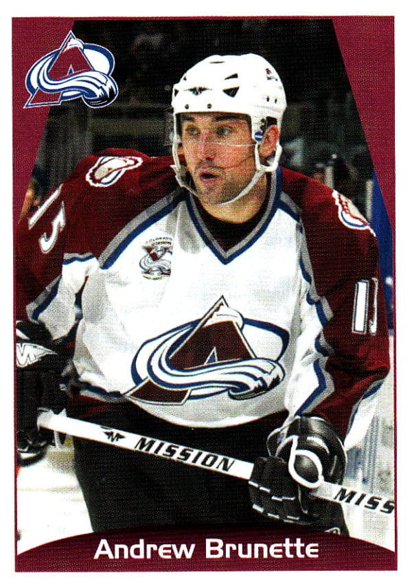 2006 PANINI #225-Andrew Brunette