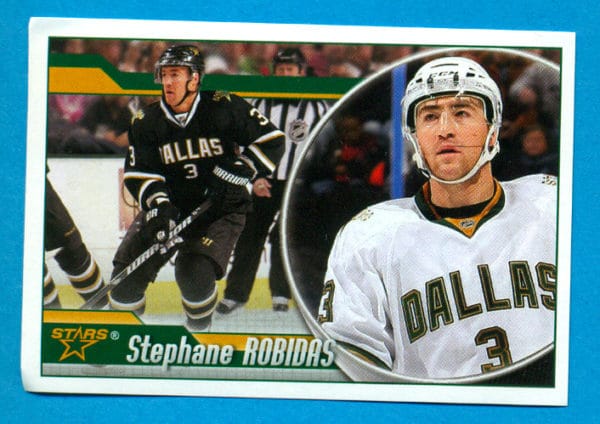 2010 PANINI #214-Stephane Robidas