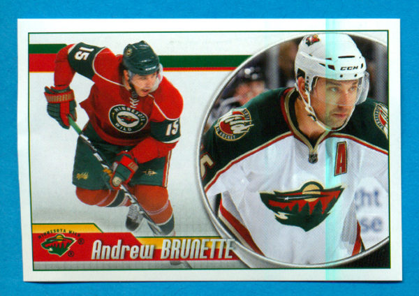 2010 PANINI #255-Andrew Brunette