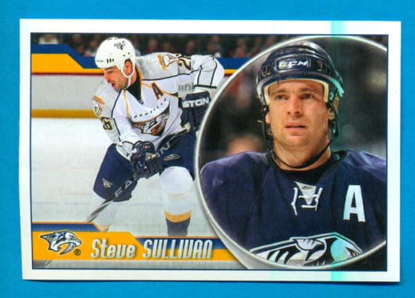 2010 PANINI #265-Steve Sullivan