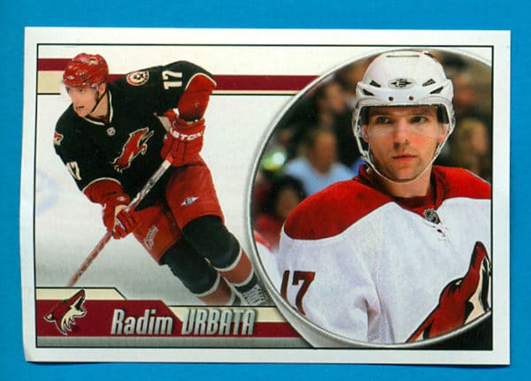 2010 PANINI #269-Radim Vrbata