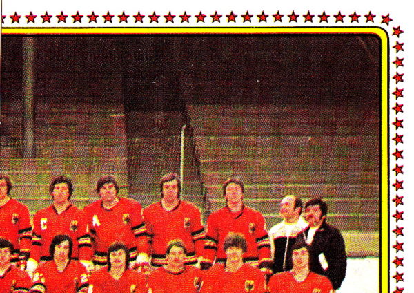 1979 PANINI #93-Team Photo