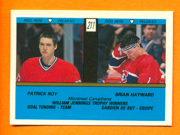 1989 O-Pee-Chee #211-Patrick Roy