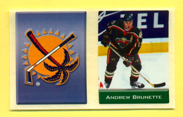 2003 Sports Vault Top Up To 600 Pieces #243-Andrew Brunette