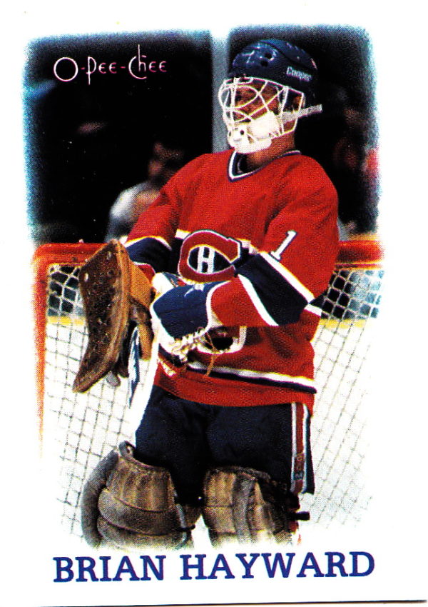 1988 OPC Mini Cards #13-Brian Hayward