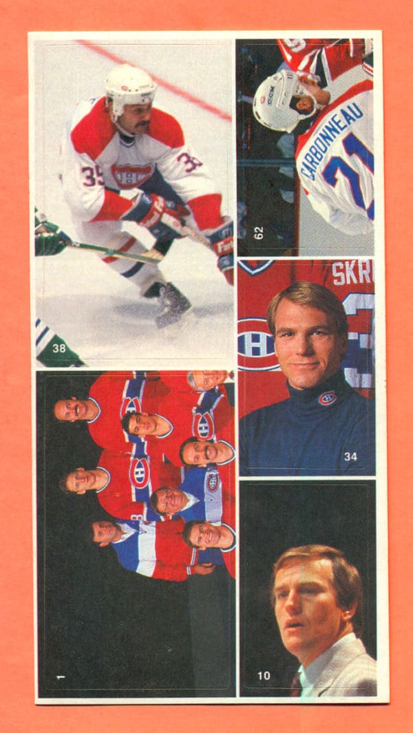 1987 Vachon Canadiens Panel #5 (3862)