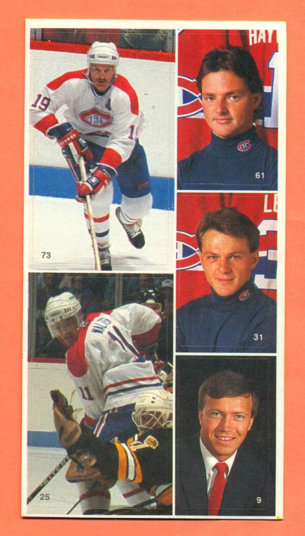 1987 Vachon Canadiens Panel #13 (7361)