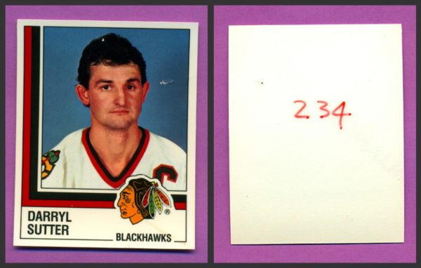 1987 PANINI 1 of 1 PROOF #234-Darryl Sutter