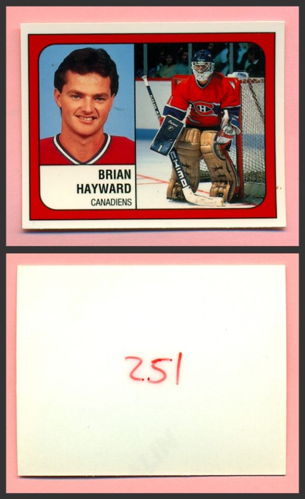 1988 PANINI 1 of 1 PROOF #251-Brian Hayward