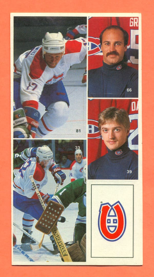 1987 Vachon Canadiens Panel #19 (8166)