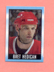 2003 Topps #35-Bret Hedican