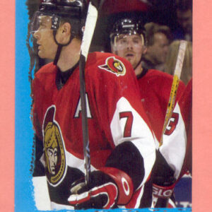 2004 PANINI #119-Curtis Leschyshyn