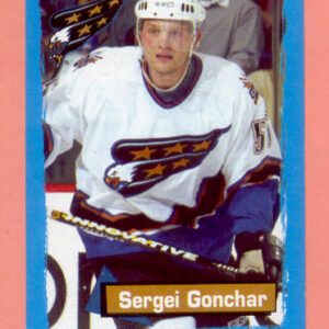 2004 PANINI #191-Sergei Gonchar