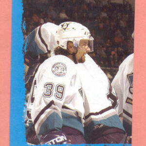 2004 PANINI #204-Rob Niedermayer