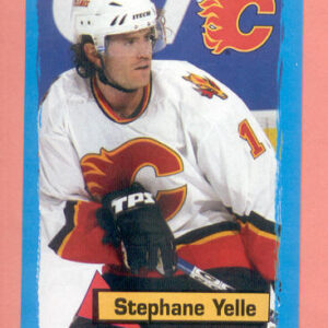 2004 PANINI #213-Stephane Yelle