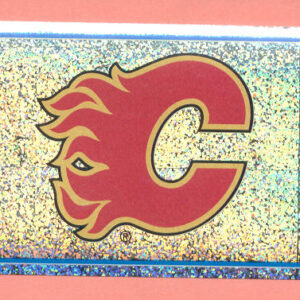2004 PANINI #215- Flames Logo