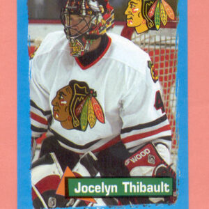 2004 PANINI #226-Jocelyn Thibault