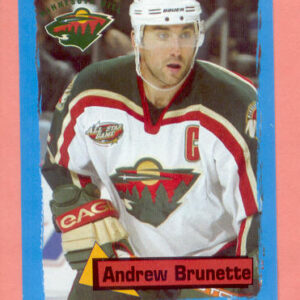 2004 PANINI #317-Andrew Brunette