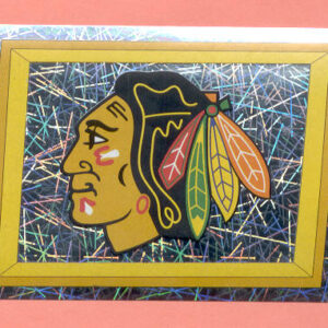 2005 PANINI #216- Logo