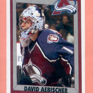 2005 PANINI #227-David Aebischer