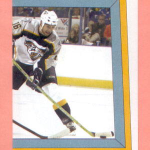 2005 PANINI #317-Darcy Hordichuk