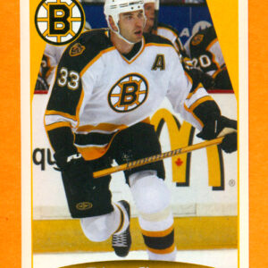 2006 PANINI #22-Zdeno Chara