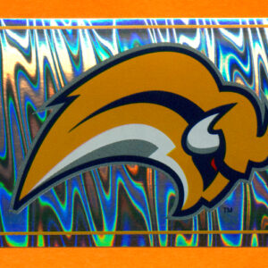 2006 PANINI #27- Logo