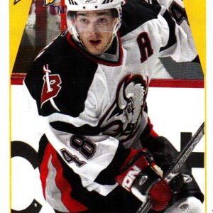 2006 PANINI #32-Daniel Briere