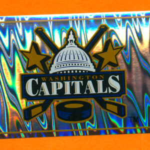 2006 PANINI #171- Logo