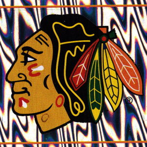 2006 PANINI #207- Logo