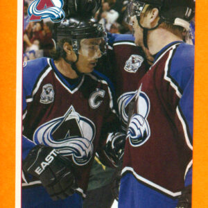 2006 PANINI #217-Joe Sakic
