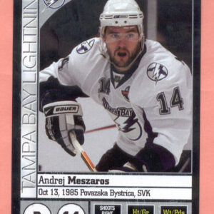 2008 PANINI #116-Andrej Meszaros