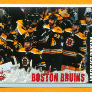 2009 PANINI #9-Northeast-Division Champion