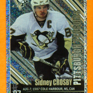 2009 PANINI #125-Sidney Crosby