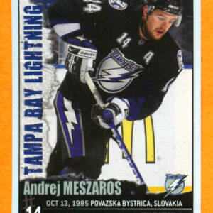 2009 PANINI #139-Andrej Meszaros