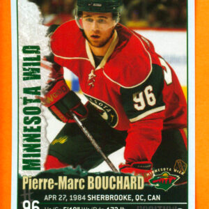 2009 PANINI #255-Pierre-Marc Bouchard