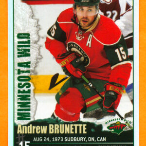 2009 PANINI #256-Andrew Brunette