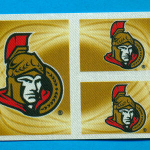 2010 PANINI #97- Logo