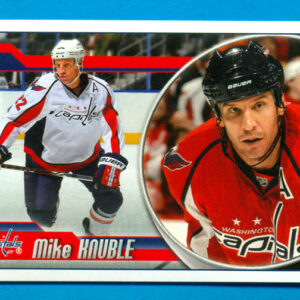 2010 PANINI #155-Mike Knuble