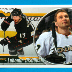2010 PANINI #162-Lubomir Visnovsky