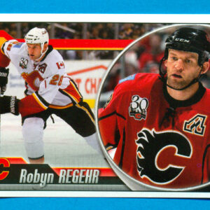2010 PANINI #173-Robyn Regehr