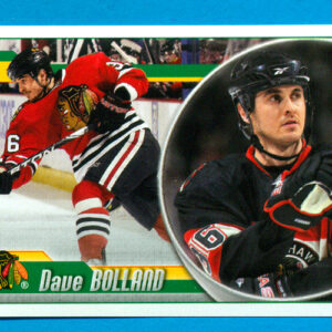 2010 PANINI #184-Dave Bolland