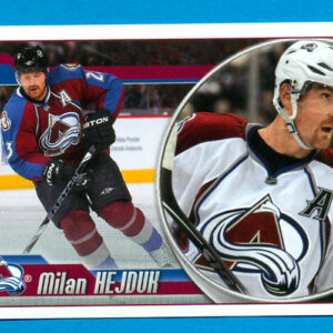2010 PANINI #192-Milan Hejduk