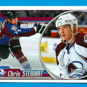 2010 PANINI #193-Chris Stewart