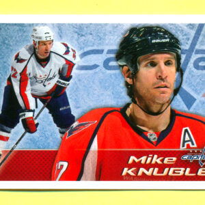 2011 PANINI #175-Mike Knuble