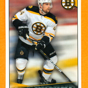2012 PANINI #37-Dennis Seidenberg