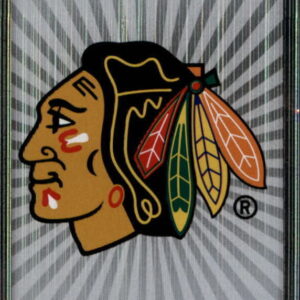 2014 PANINI #273- Logo