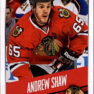 2014 PANINI #282- Andrew Shaw